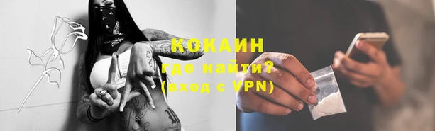 прущие грибы Балабаново