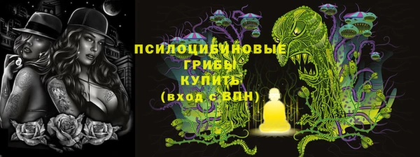 Альфа ПВП Армянск