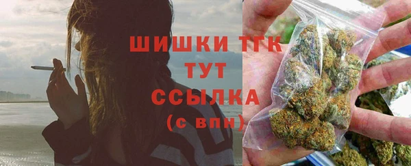 прущие грибы Балабаново