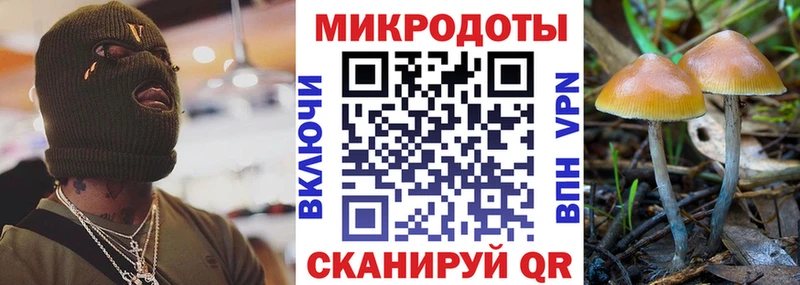даркнет телеграм blacksprut ТОР Мичуринск Псилоцибиновые грибы MAGIC MUSHROOMS